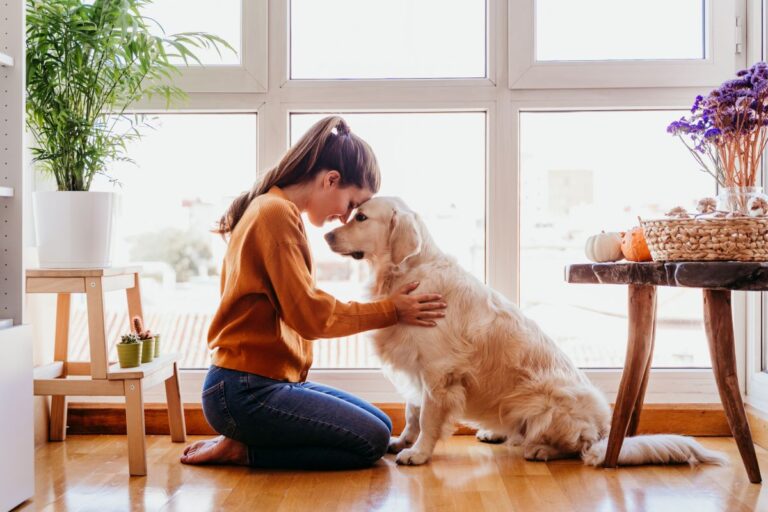 The Life-Changing Benefits of Pets and How to Find Your Perfect Furry Friend