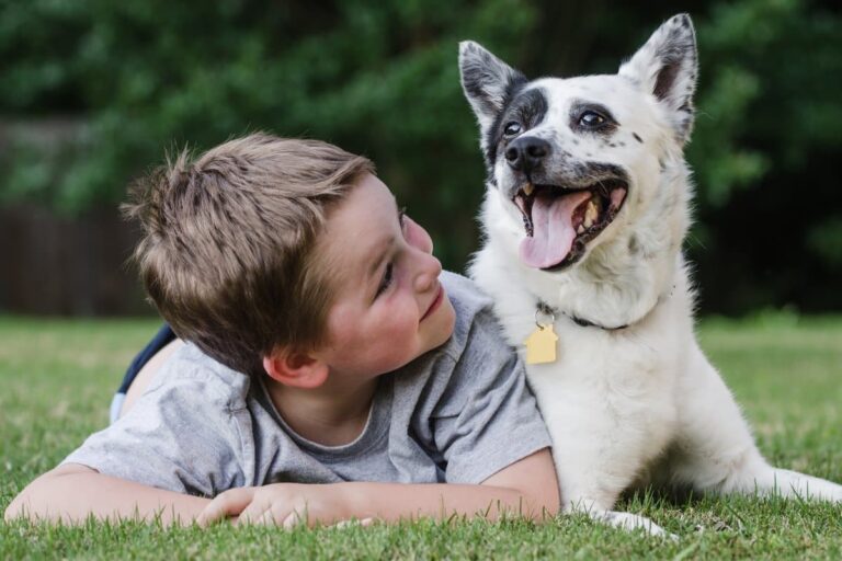 Pet Safety Tips: How We Keep Our Kids and Pets Safe