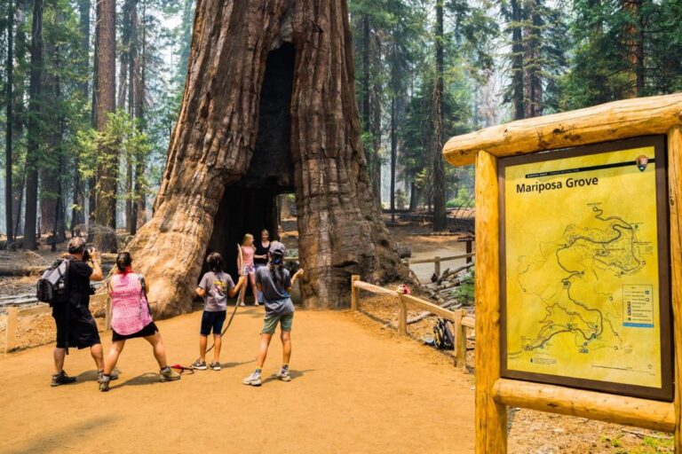 California Tourism: Green Initiatives or Gimmicks?