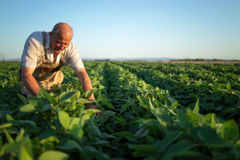 What You’re Missing About Heatwaves and Food Safety