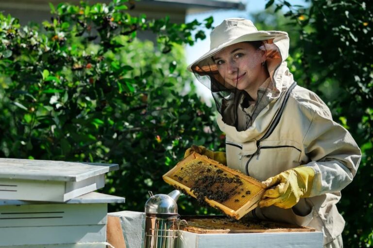 The Secret Life of Urban Beekeeping: My Sweet Journey!