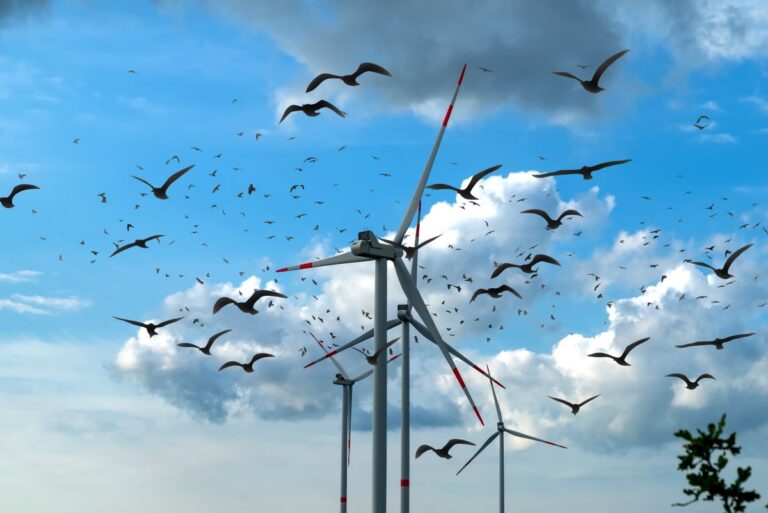 Eco Carnage: Wind Turbines Kill Birds, but It Gets Worse