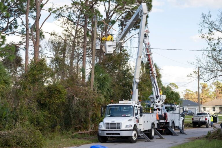 The Growing Problem of Rolling Blackouts: What’s Behind It?