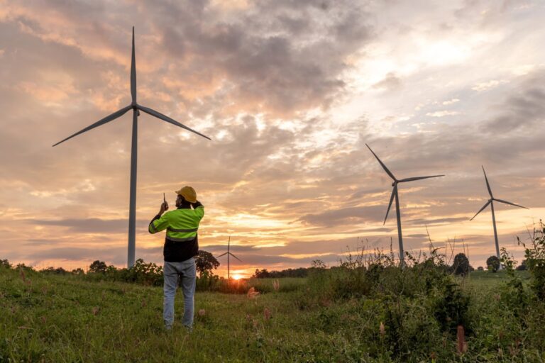 Wind Turbines: The Environmental Trade-off You Didn’t Know About