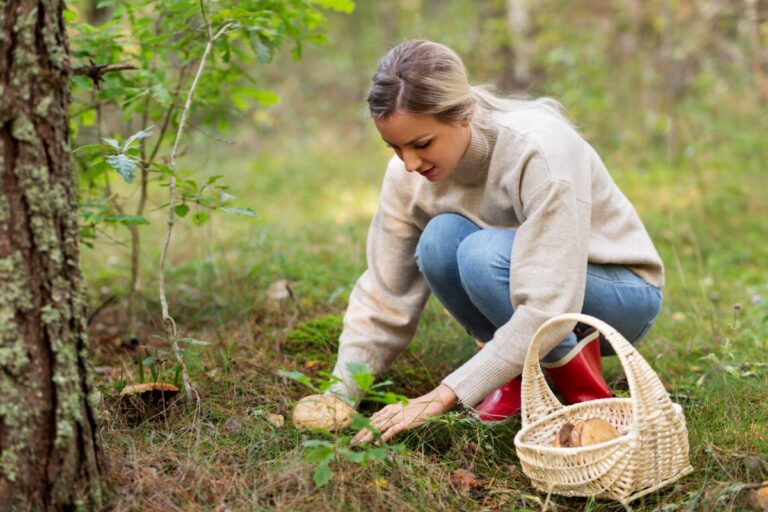 Wild Eats in the City: Urban Foraging Adventures Await